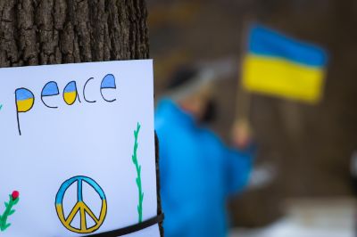 bandiera ucraina
